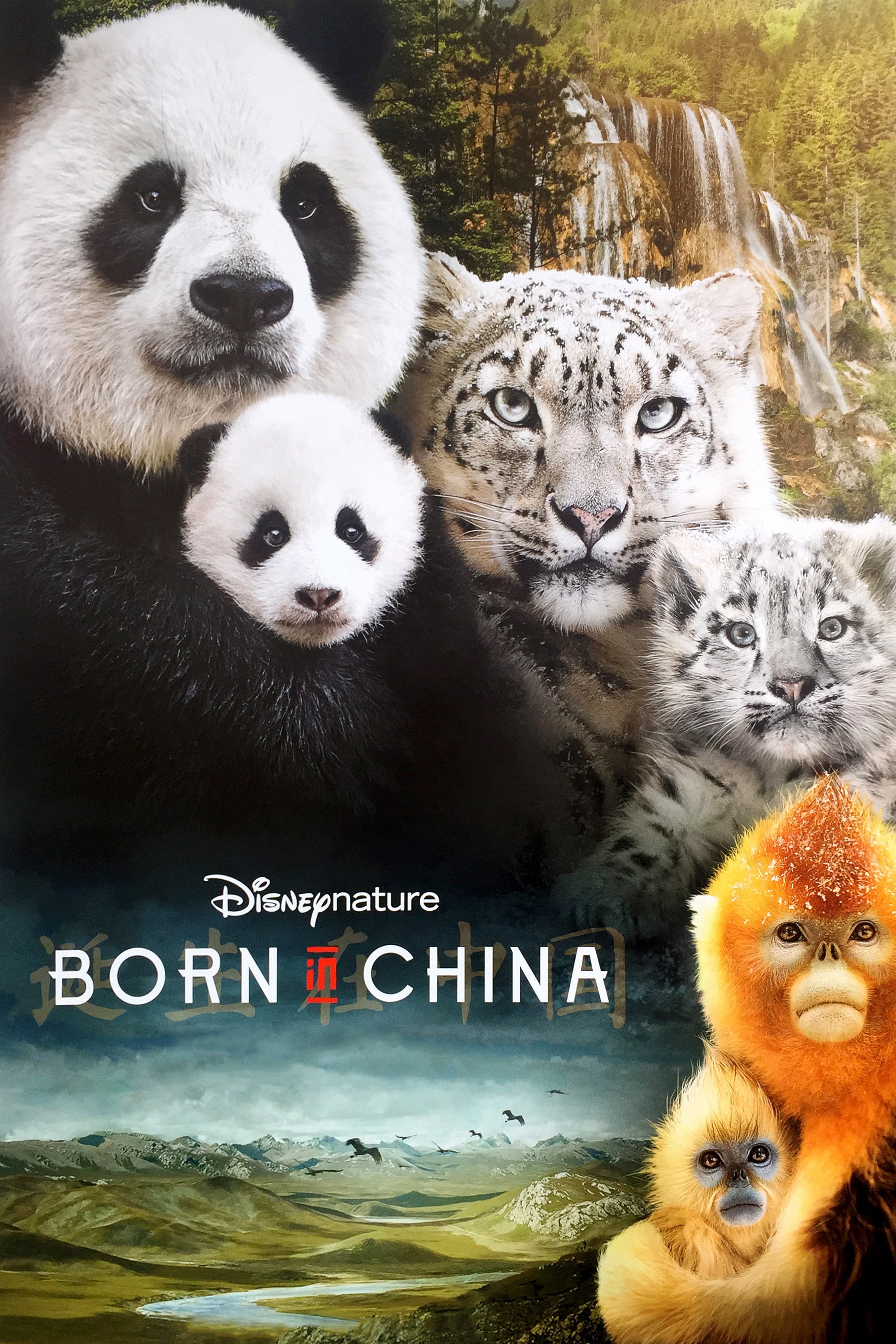 Born in China 