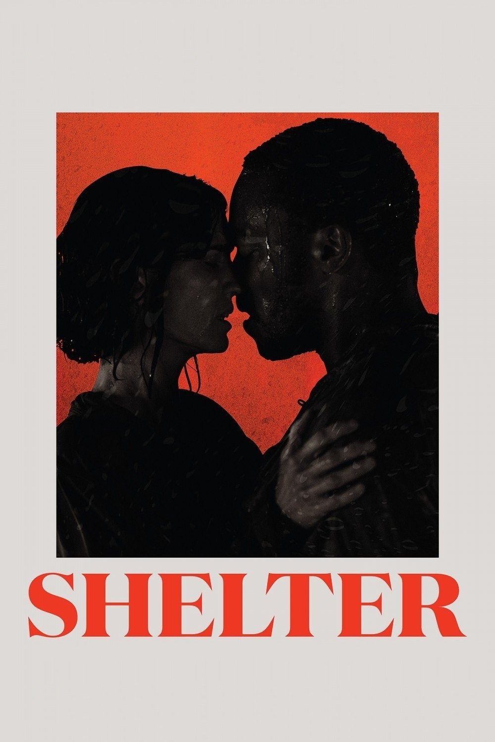 Shelter 