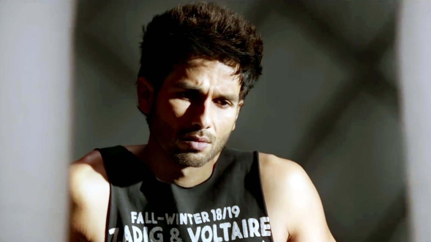 Kabir Singh 